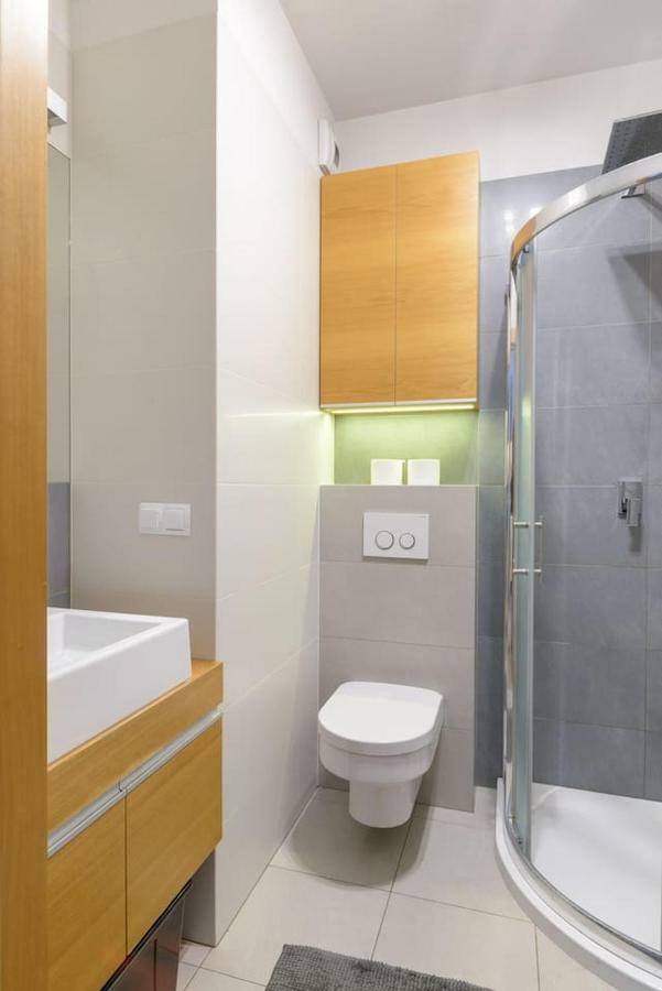 Dabrowskiego Apartment Poznan Ngoại thất bức ảnh